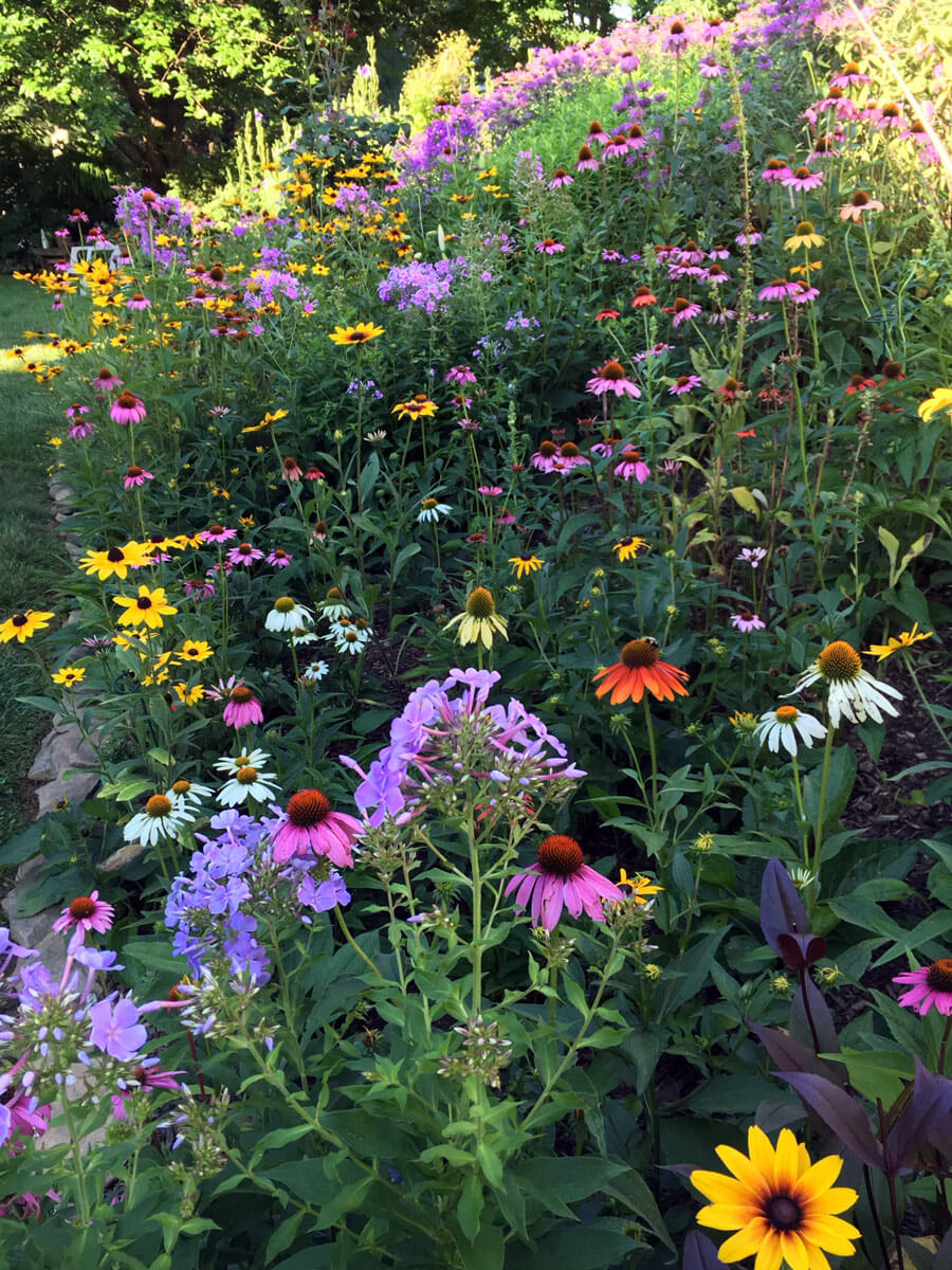 Pollinator Garden Harford County Maryland