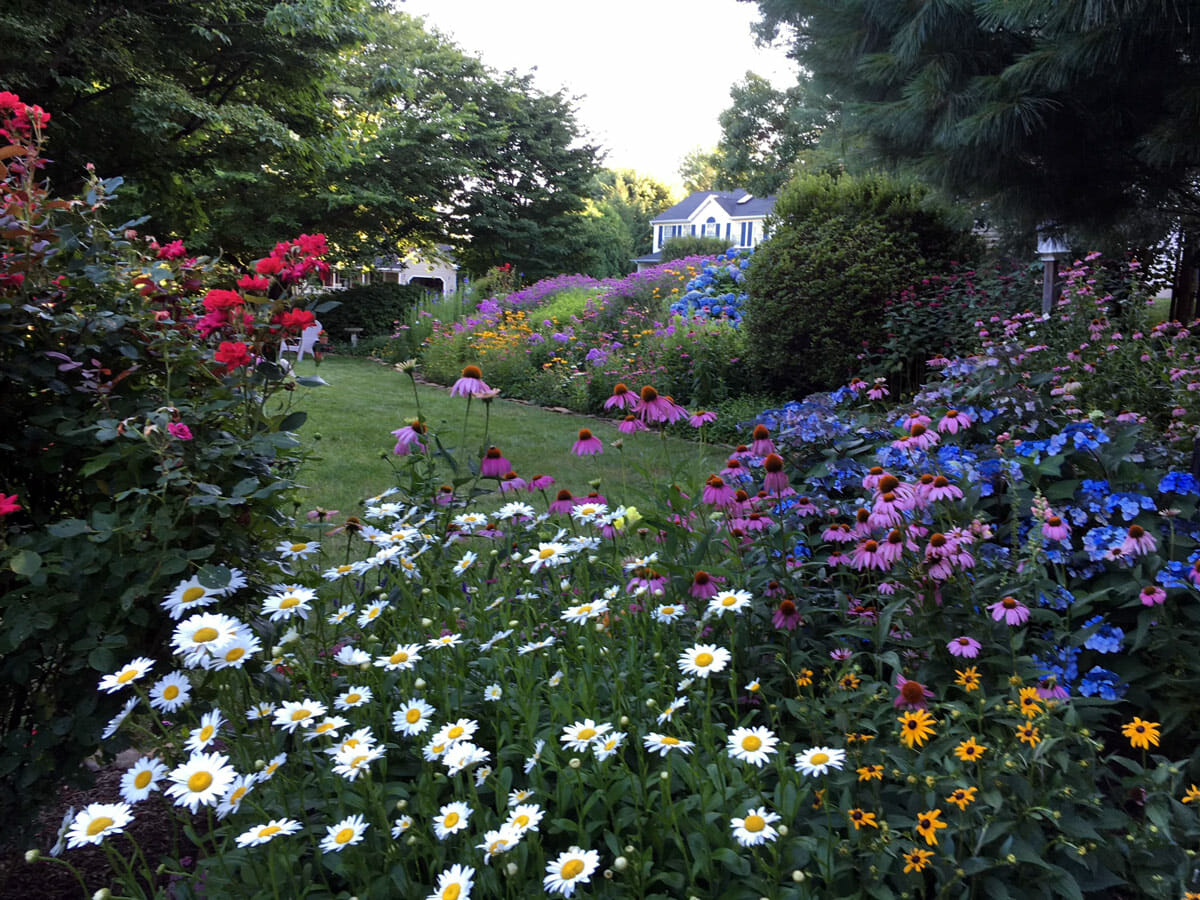 Pollinator Garden Harford County Maryland