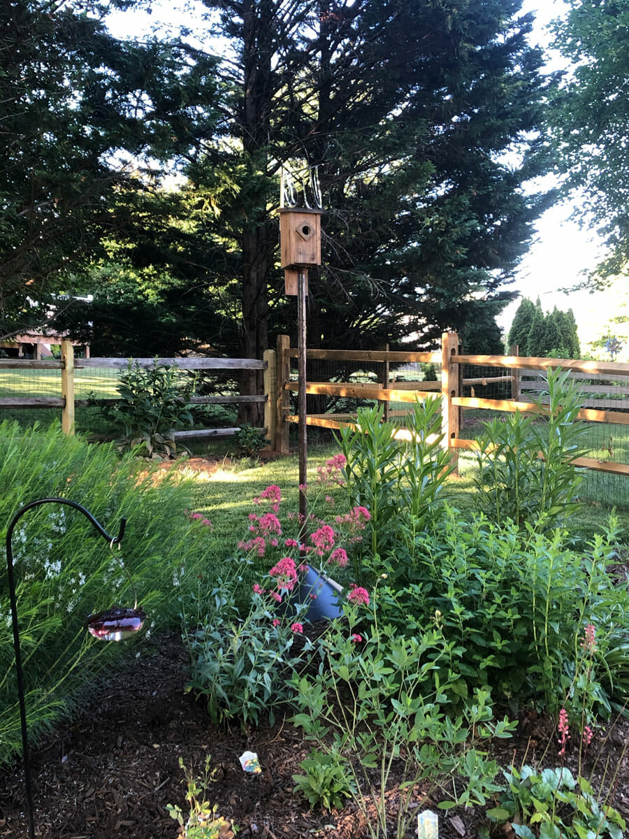 Pollinator Garden Harford County Maryland